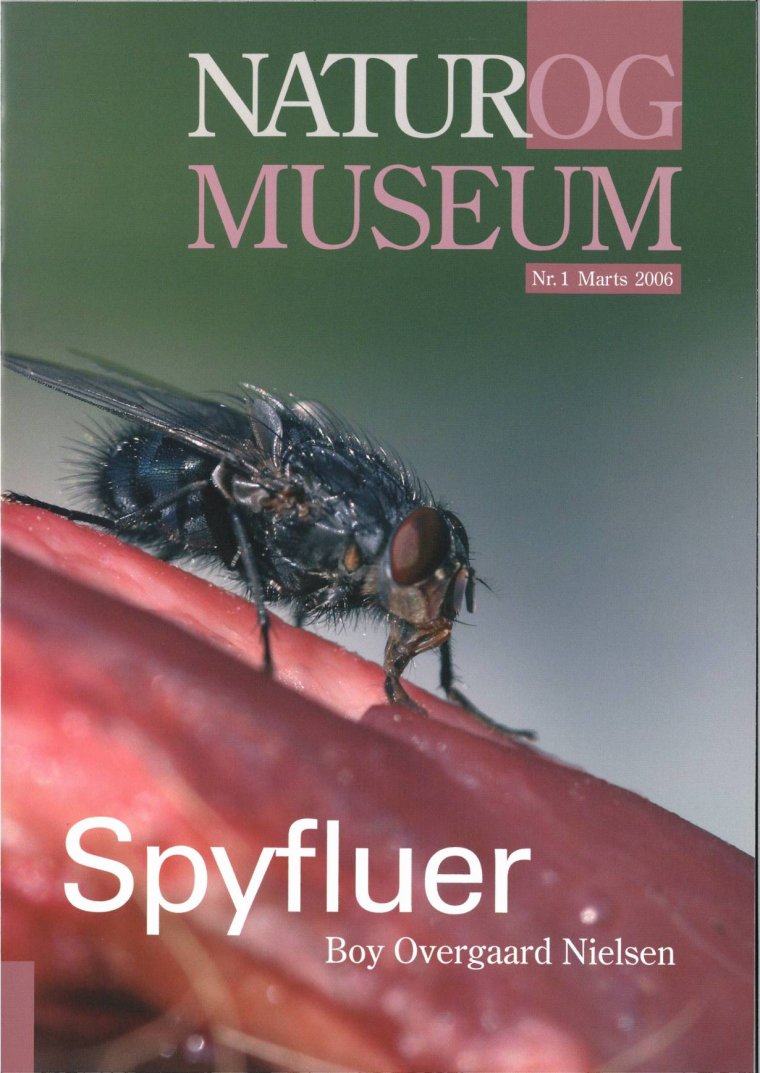 Spyfluer